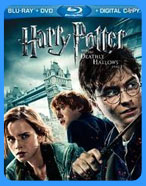 Harry Potter and the Deathly Hallows: Part 1 (2010)