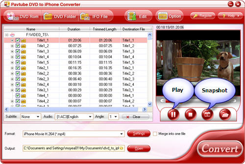 DVD to iPhone Converter
