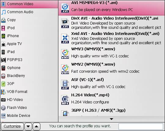 dvd ripper output format video audio