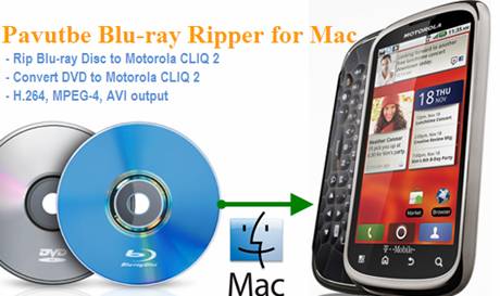 mac dvd to Motorola cliq 2 converter
