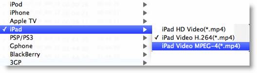mac video to ipad 2 converter