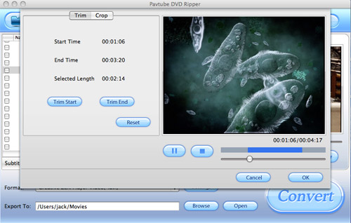 DVD Ripper for Mac