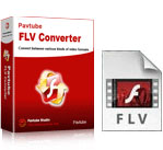 Windows Version