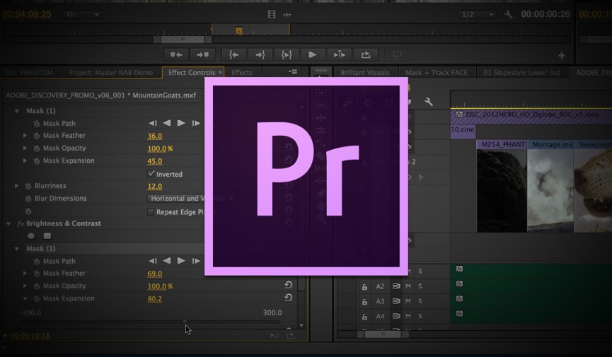 How to import MOV to Premiere Pro(CC, CS6, CS5, CS4)