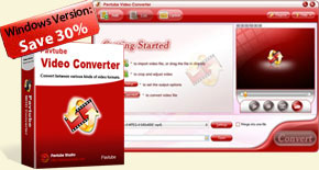 Pavtube Video Converter